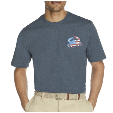 Izod Men's Graphic Tee - Premium Short Sleeve Shirt