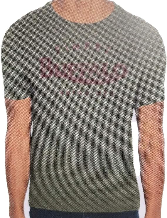 Buffalo David Bitton Men's Short Sleeve Graphic T-Shirt (Green, X-Large)
