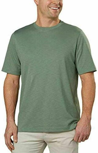 Kirkland Signature Men's Short Sleeve Classic Cotton Tee (Green, Medium)