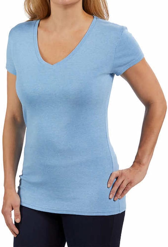 Kirkland Signature Women's Cotton V-Neck T-Shirt (Light Blue, X-Small)