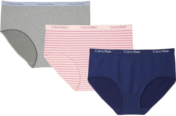 Calvin Klein Women's 3 Pack Eclipse Brief (Gray Heather/Red Violet/Delta Blue, Small)