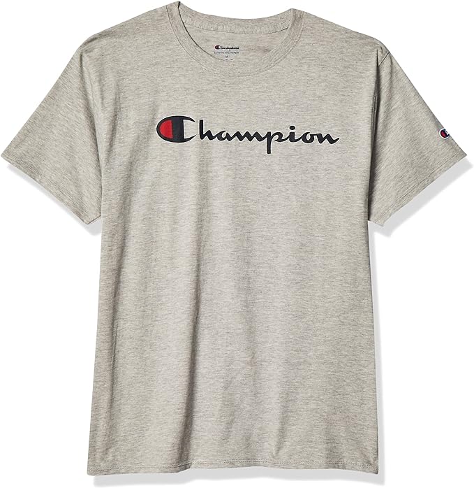 Champion Men's Classic Jersey T-Shirt (Gray, M)