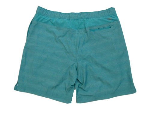 Speedo Men's Volley Swim Short